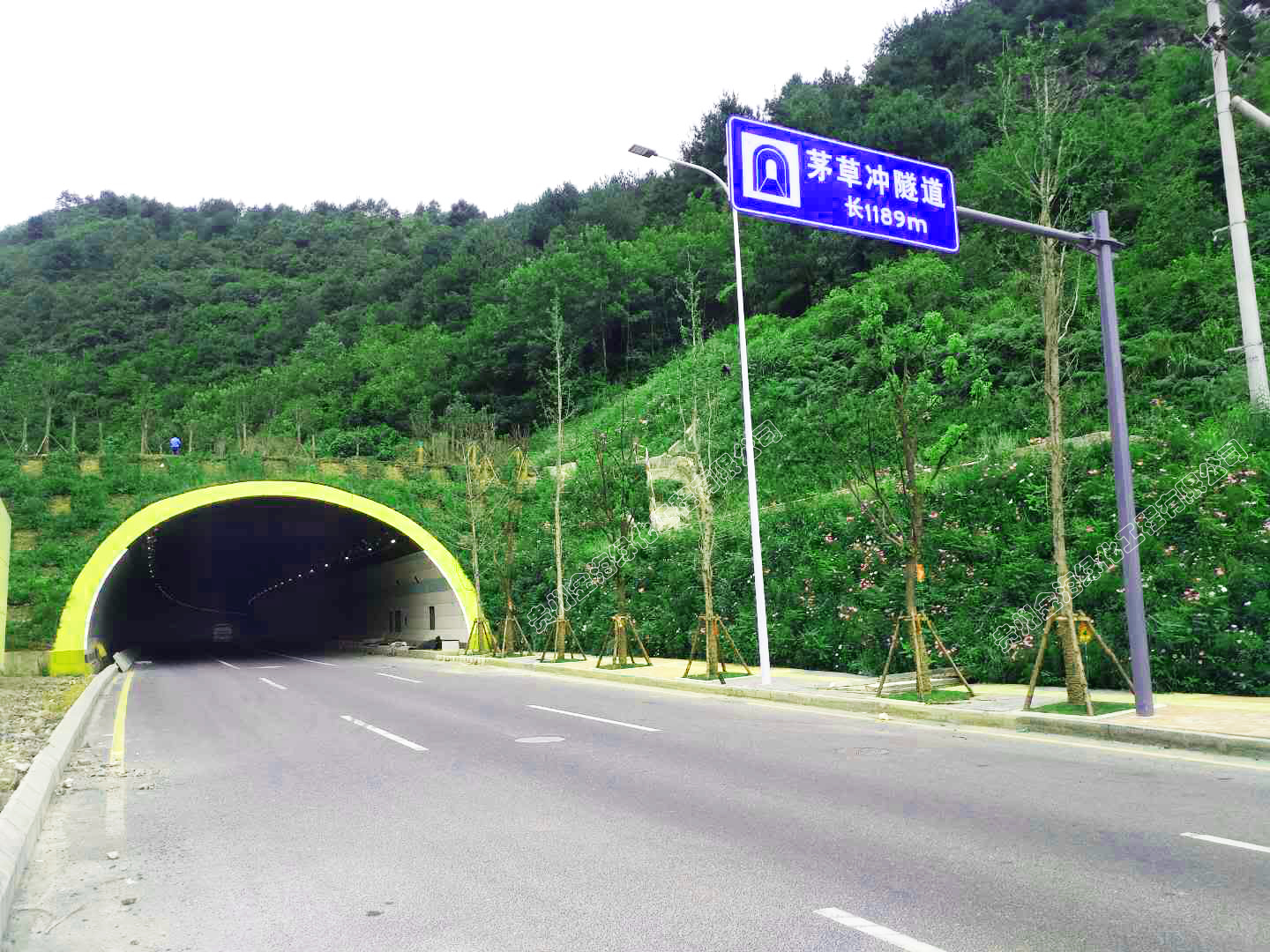 2018073015329165961009566691.jpg 2018073015329165961009566691.jpg