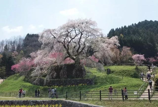 2019041215550570481617281382.jpg 8d223a8c700747839ec63ec92edce586.jpg